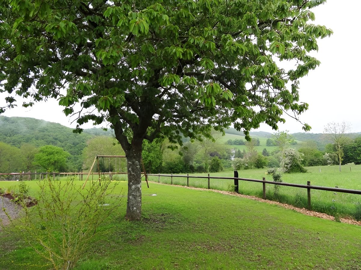 Le cerisier et la vue sur la campagne
